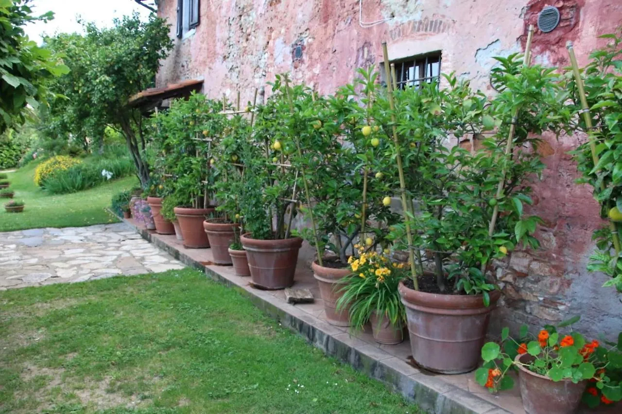 Casa Gaia Guest House Lucca 0*,  Italy