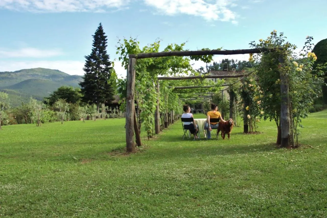 Casa Gaia Guest House Lucca Country house